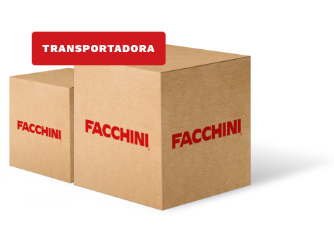 Ilustração de caixas para envio via Transportadora